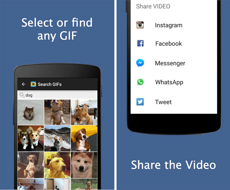 برنامه GIF2VIDEO: ابزار تبدیل فایل گیف به ویدیو